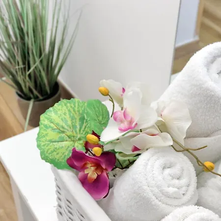 Felicioni Bed & Breakfast Fiumicino
